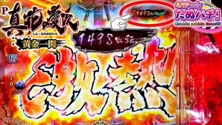 1,499回転目で激熱(90.2%)！P真・花の慶次3 ~黄金一閃~＜ニューギン＞【たぬパチ！】