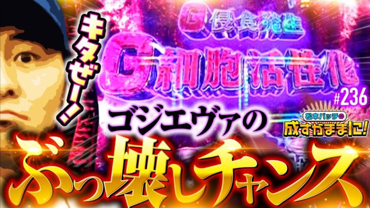 【バッチvsゴジエヴァ！ぶっ壊しチャンスをモノにしろ】松本バッチの成すがままに！236話《松本バッチ・鬼Dイッチー》L ゴジラ対エヴァンゲリオン［パチスロ・スロット・スマスロ］