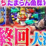 【P大海4スペシャル】本機最終回!! 黒星続きの因縁台…『魚群100%』で最後の勝負です!! 大海5スペシャル導入前に、ビワコは勝利を掴めるか!!?【波物語#71】[パチンコ] [実戦] [海物語]