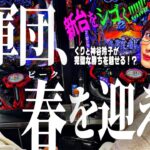 【新台×プロ×万能】くりと神谷、時代に合わせフレキシブルにビジネスを展開する。 ～はじめてのぐんだん(仮)～第十六話:豊田 　[必勝本WEB-TV][パチンコ][パチスロ][スロット]