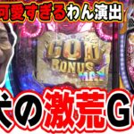 【新台最速】可愛すぎても台は荒すぎGODシリーズ【Pアナザーゴッドハーデス‐獄炎‐】【日直島田の優等生台み〜つけた♪】[パチンコ][スロット]#日直島田