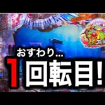 【746日目】P海物語 極JAPAN実践動画！オスイチから始まる爆裂物語？！（ガチ実践動画2025/5/29）