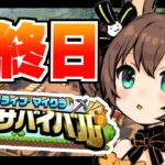 【#ホロ金策サバイバル 】最終日💰ギャンブルで大逆転しかないんだ！【ホロライブ/夏色まつり】