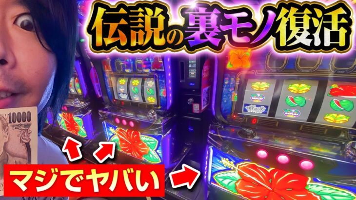 【裏モノ】この台…小役が揃いません【パチスロ 実践】【ペカるTVZ】