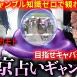 占いを猛勉強して、ギャンブルで金を増やしてキャバクラに行こう！（※ギャンブル知識ゼロでも楽しめます）