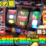 【新台 パチスロなめ猫】怒涛のBIG連をなめんじゃねぇ！《HYO.》[必勝本WEB-TV][パチスロ][スロット]
