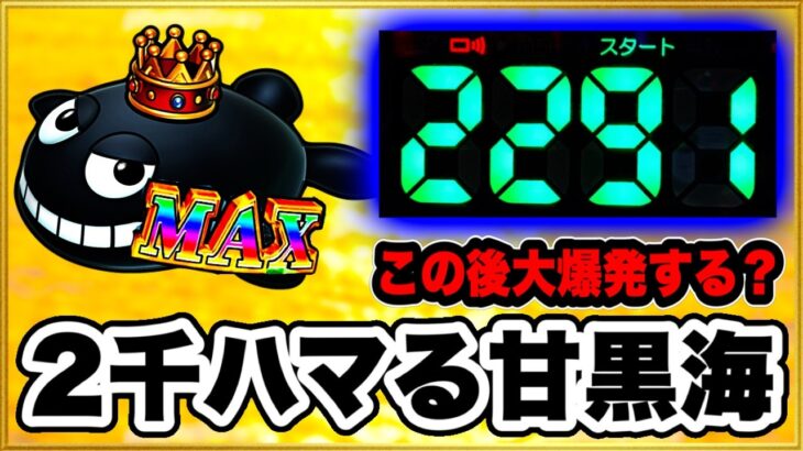 パチンコ 新台【大海物語5ブラック99】甘デジで2300ハマりの台は当たったらLT大爆発するのか試してみたらまさかの激アツな結果に！ 先バレ音最高！【PA大海物語5ブラックLT99ver.】