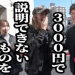 【まさかの展開へ】低投資で景色が一変した瞬間【おじいさんといっしょ】41日目(1/3) [#木村魚拓][#アニマルかつみ][#ナツ美]