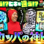 また違うカッパが来た…？ でも、ヒキが強いから問題ナシ!?「オラ、人間になりてぇ」 第28話 前編  #嵐 #松本バッチ #1万ゲーム #L東京喰種 #スーパーブラックジャック