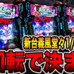 新台【義風堂々1/99ver.】お座り1回転で決まる！（PA義風堂々!!〜兼続と慶次〜3 99ver.）[パチンコ・パチスロ]