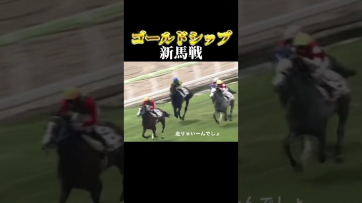 みんな大好きゴールドシップの新馬戦#ギャンブル #ギャンブル依存症 #競馬  #ゴールドシップ