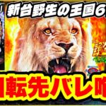 パチンコ新台 【野生の王国6甘デジ】 新台初日全国最速オスイチ1回転先バレ激アツ展開！ 甘デジで爆連が止まらない！ 百獣の王タイム突入！ 遊べる甘を待ってた！ 【PA野生の王国6】