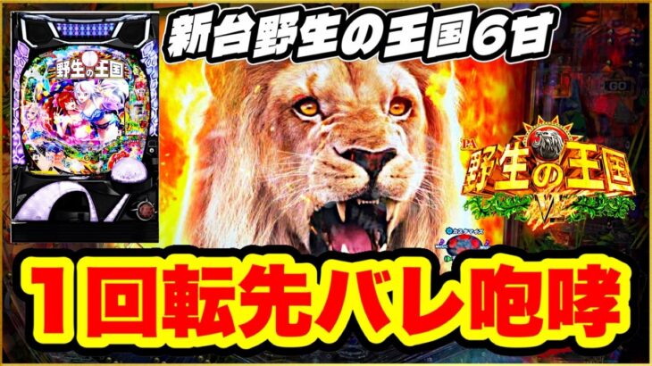 パチンコ新台 【野生の王国6甘デジ】 新台初日全国最速オスイチ1回転先バレ激アツ展開！ 甘デジで爆連が止まらない！ 百獣の王タイム突入！ 遊べる甘を待ってた！ 【PA野生の王国6】