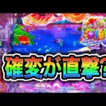 【802日目】新台スーパー海物語in沖縄6実践動画！（ガチ実践動画2025/11/9）