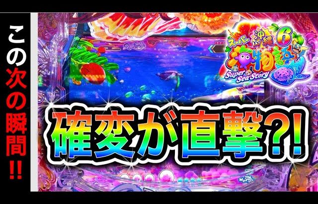 【802日目】新台スーパー海物語in沖縄6実践動画！（ガチ実践動画2025/11/9）